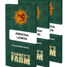 amnesia lemon packet large