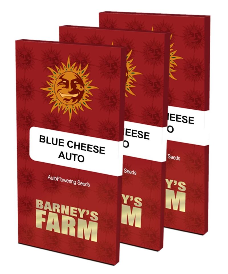 Barneys - Blueberry Cheese Auto - 1 seed - Image 4