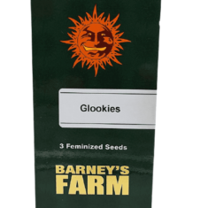 Barneys - Glookies - 3 seeds