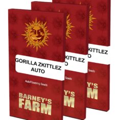 gorilla zkittlez auto packet large