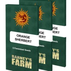 orange sherbert packet large