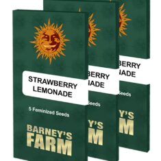 strawberry lemonade packet large