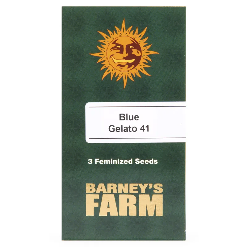 Barneys Farm -BLUE GELATO 41- 3 seeds - Image 4