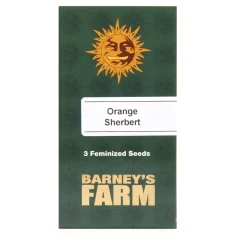 Barneys - Orange Sherbert - 3 seeds