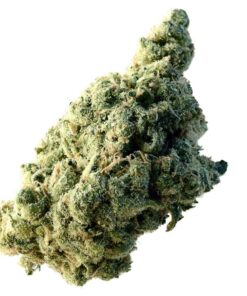 Amsterdam Genetics - Lemon Ice - 3 seeds | Canna24 Amsterdam Genetics - Lemon Ice - 3 seeds