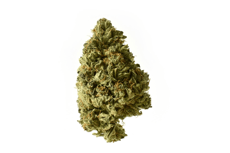 Amsterdam Genetics -White Choco Auto - 3 seeds - Image 2