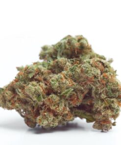 Growers Choice - Gorilla Cookies - 5 seeds + 2 free