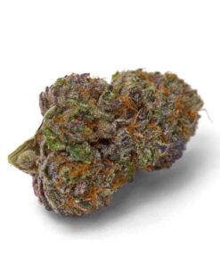 Growers Choice - Purple Dosi Punch - 5 seeds + 2 Free
