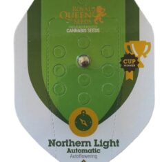 Royal Queen Seeds - Northen Light auto - 1 seed