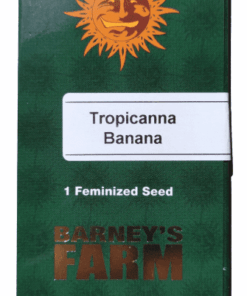 TROPICANNA BANANA