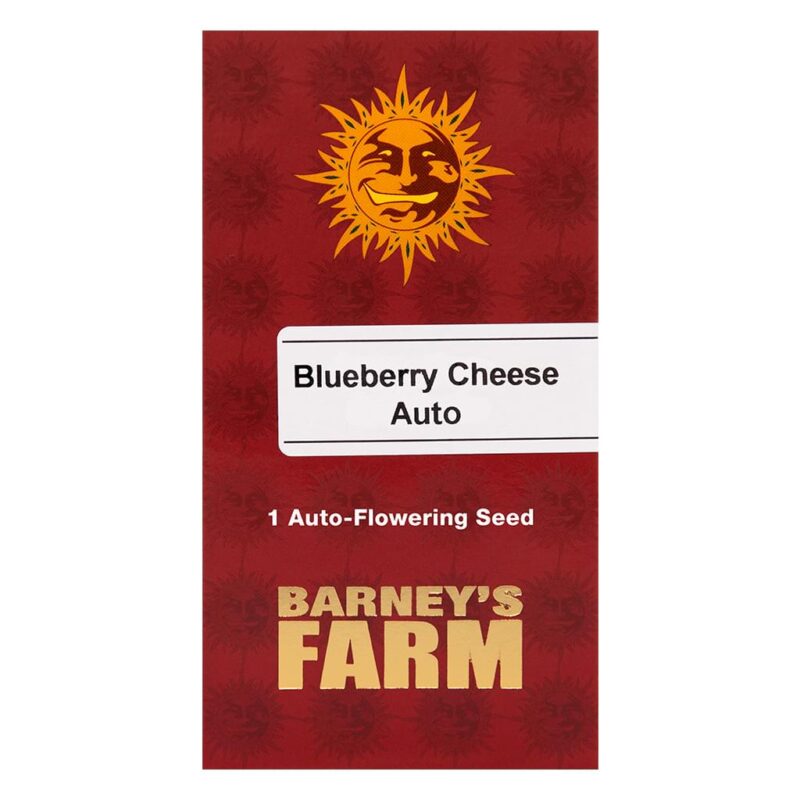 Blueberry Cheese Auto 1 seed Barneys Farm