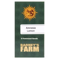 Amnesia Lemon