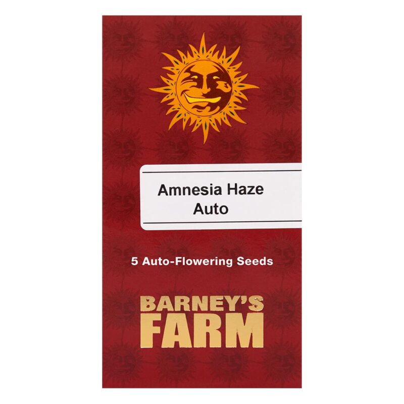 Amnesia_Haze_Auto_5_seeds_Barneys_Farm