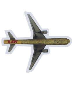 RAW_STICKER Cone Plane