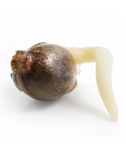 White Widow Automatic