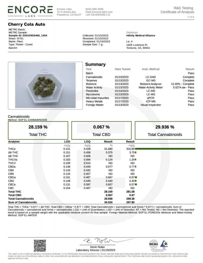 Fast Buds Cherry Cola - 5 seeds - Image 3