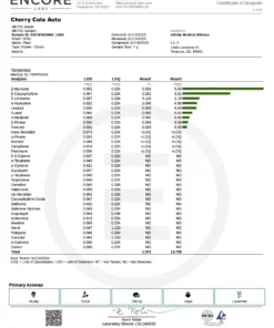 Fast Buds Cherry Cola