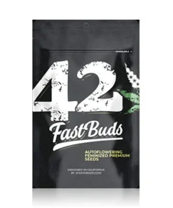 Fast Buds Auto