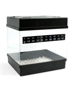 rqs Starter Kit Feminized