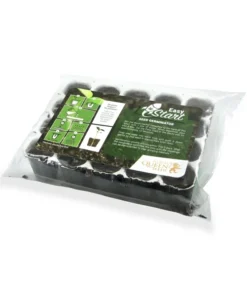 rqs Starter Kit Feminized