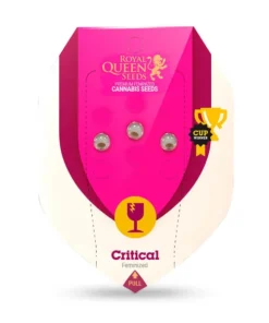 rqs Starter Kit Feminized