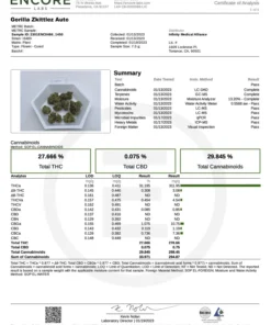 fast buds Gorilla Zkittlez Auto