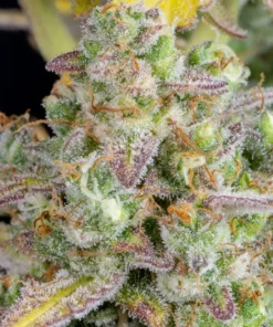 Fast Buds Wedding Cheesecake