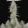 Fast Buds Wedding Cheesecake