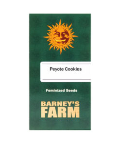 Barneys Farm Peyote Cookies | Canna24 Barneys Farm Peyote Cookies
