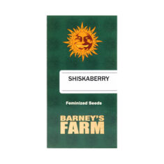 Barneys farm Shiskaberry