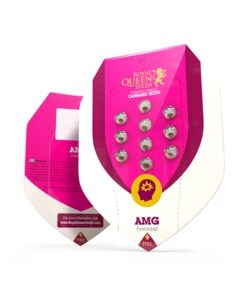 Royal Queen Seeds AMG - Amnesia Mac Ganja