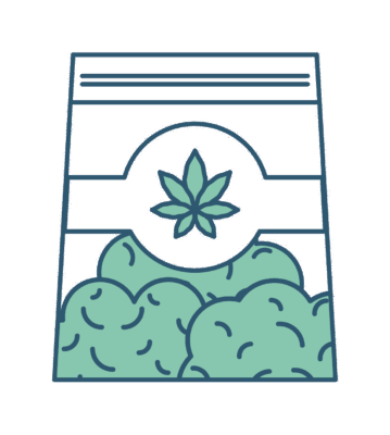 icon 5 03