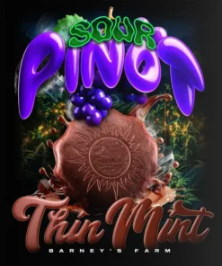 Barney’s Farm Thin Mint x Sour Pinot Auto autoflowering συλλεκτικοί σπόροι κάνναβης