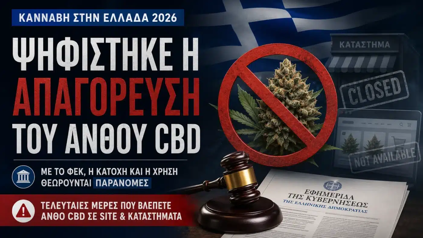 Ψηφίστηκε ο νέος νόμος για την κάνναβη στην Ελλάδα και η απαγόρευση του ανθού CBD για καταναλωτές