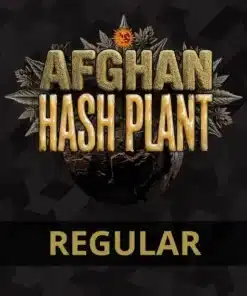 Barney’s Farm Afghan Hash Plant Auto