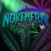 Barney’s Farm Northern Lights | Canna24 Barney’s Farm Northern Lights